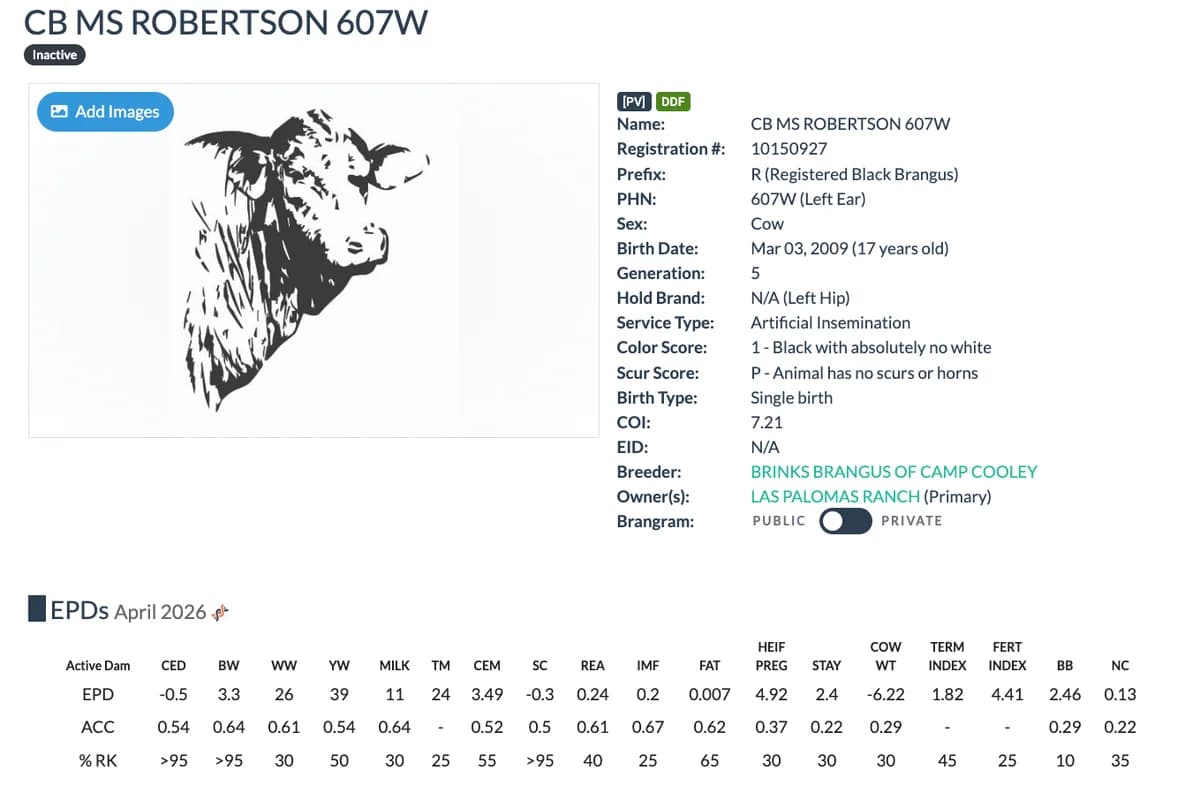 Dam — CB MS ROBERTSON 607W